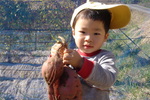 芋掘りA.jpg